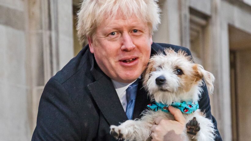 La sinistra snob sbaglia le previsioni poi attacca i poveri perché votano Boris