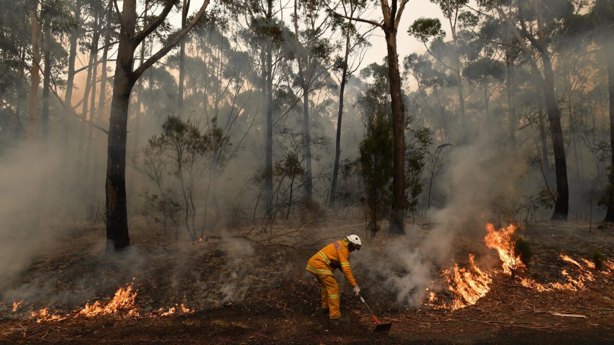 Non è solo il cambiamento climatico. L’Australia in fiamme per i piromani