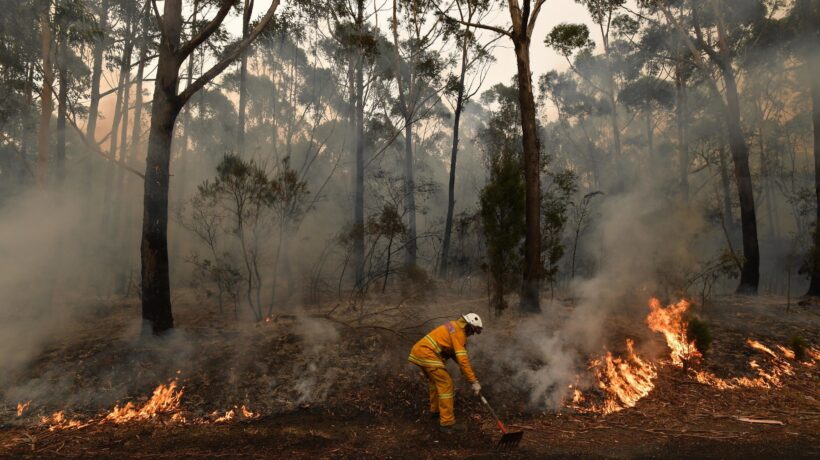 Non è solo il cambiamento climatico. L’Australia in fiamme per i piromani