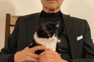 «Un gatto per amico fa bene al cuore e previene patologie»