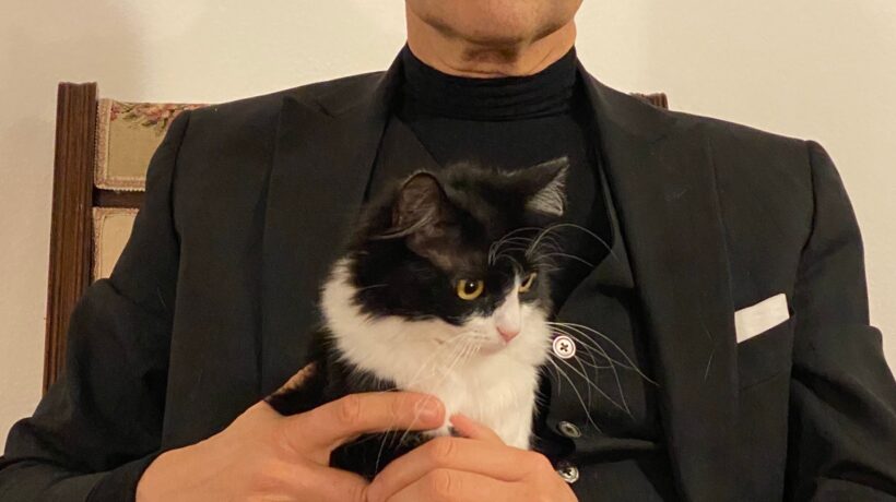 «Un gatto per amico fa bene al cuore e previene patologie»