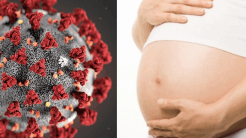 Covid 19-aborto, Pro Vita & Famiglia: «È la nuova cultura sanitaria: aborti sì, chemio forse»