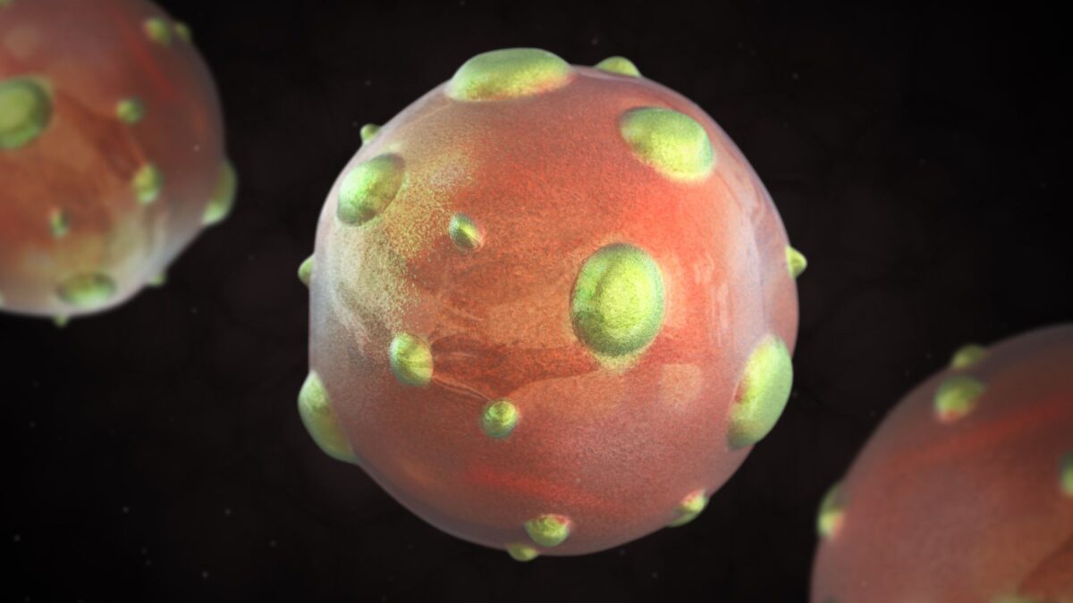 Una nuova minaccia arriva dai topi. Paura per il morto da hantavirus