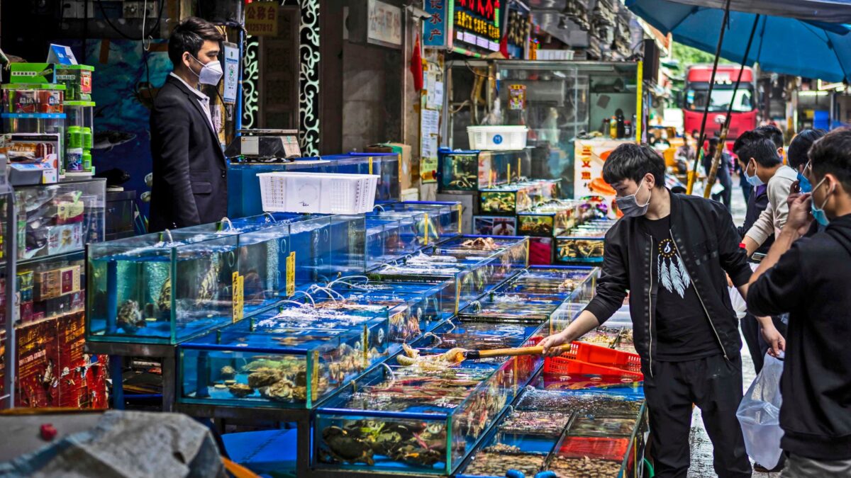 La Cina ha riaperto i mercati dell’orrore