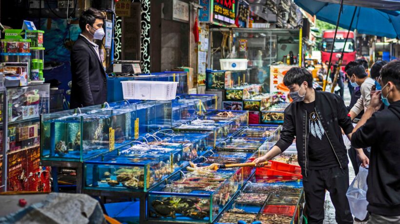 La Cina ha riaperto i mercati dell’orrore