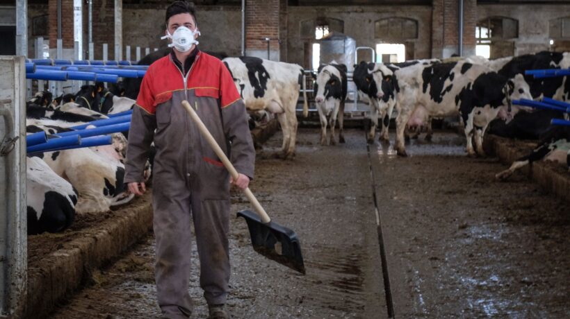 Rai contro allevatori e loro protestano: niente più pubblicità