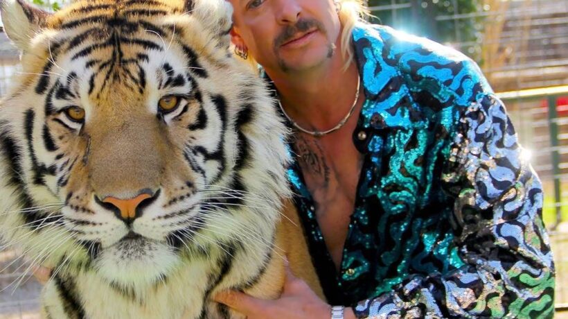 L’uomo tigre esiste: è un gay che ama Trump
