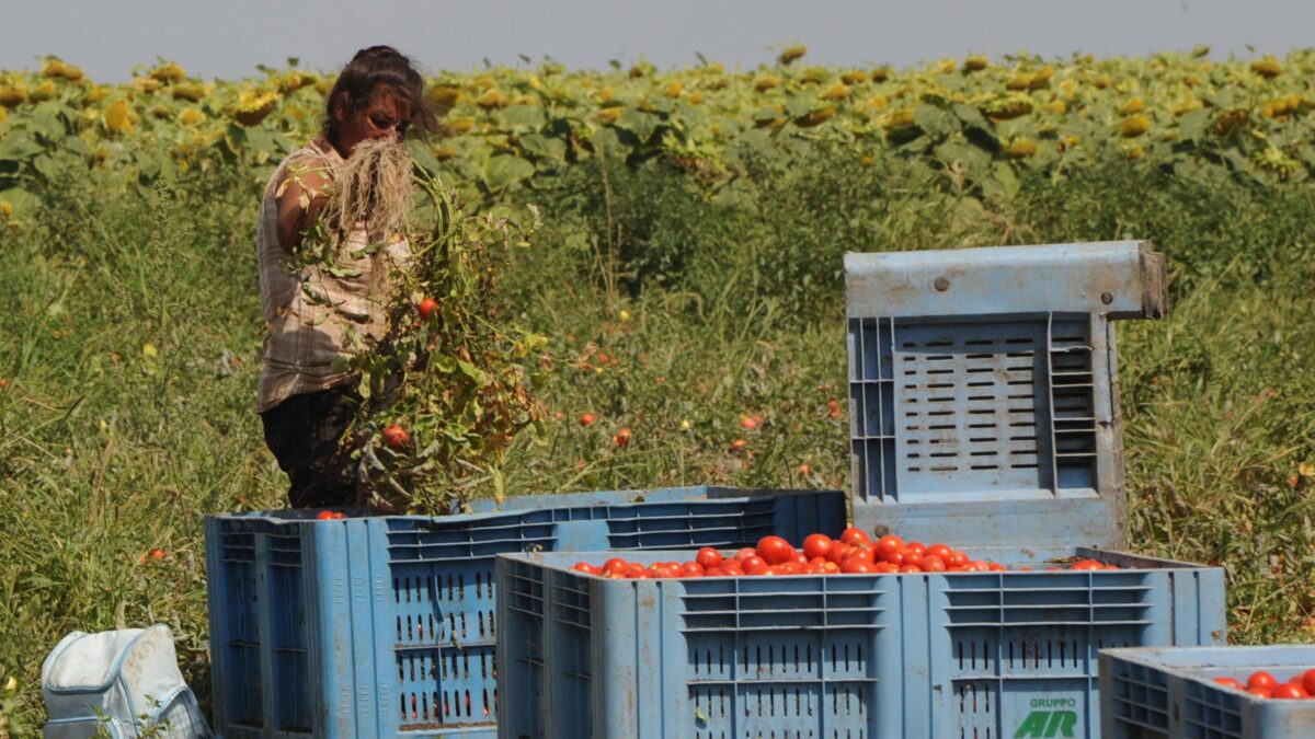 Si va verso la sanatoria dei migranti. I «buoni» vogliono sfruttarli tre mesi