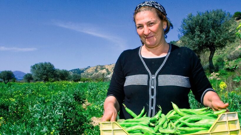 È ora di fave. Le alternative alla soia con ottime proteine vegetali