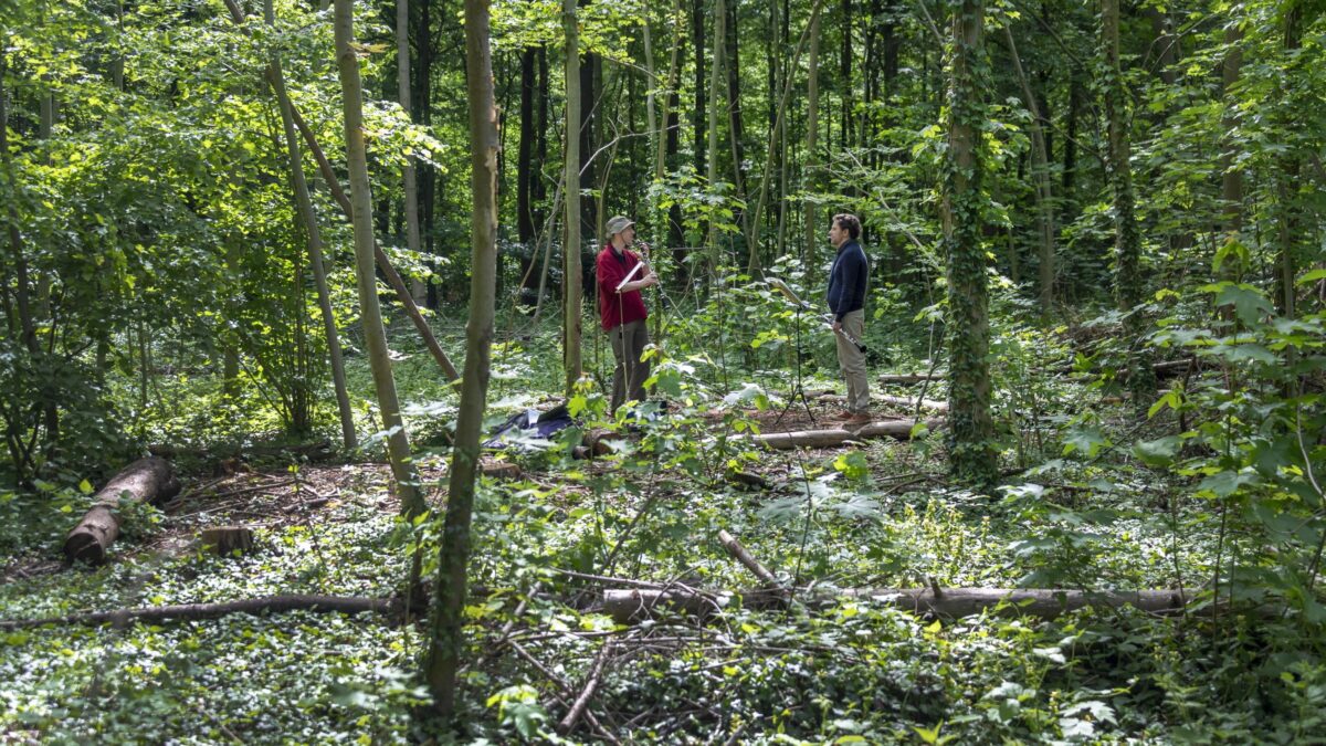 Occhi di straniera nel bosco degli eremiti