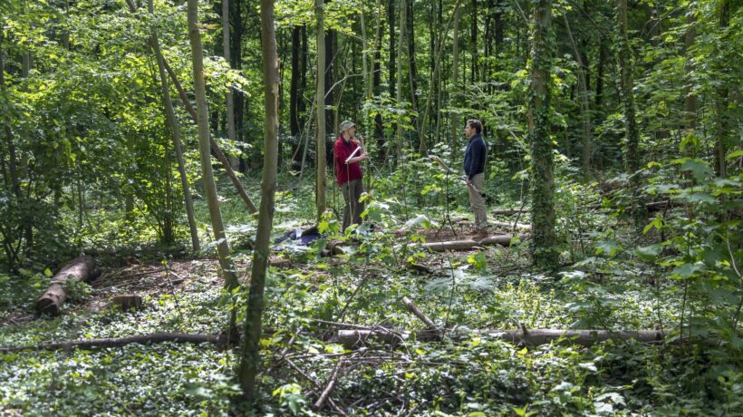 Occhi di straniera nel bosco degli eremiti