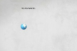 Come spende i fondi l’Oms