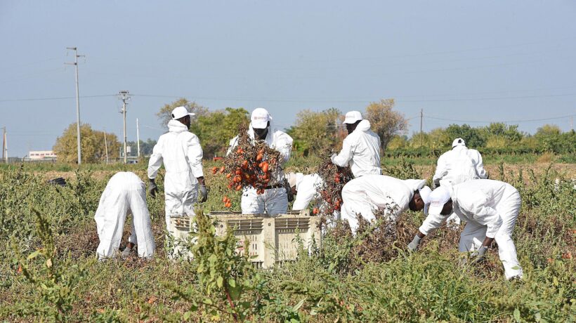 La maxi sanatoria serve a demolire i decreti Sicurezza