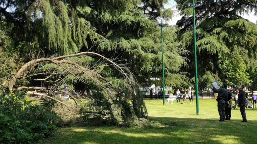 L’abate e i sei monaci giganti silenziosi a guardia dei giardini
