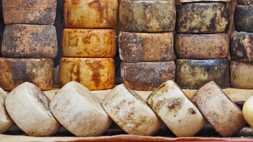 Il pecorino d’amore creato per la moglie del sire normanno