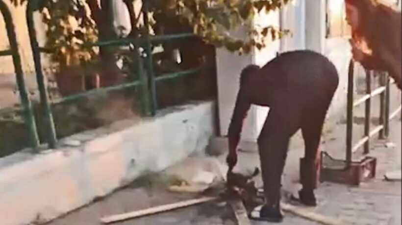 Orrore in Toscana. Un africano si cucina un gatto arrosto in mezzo alla strada