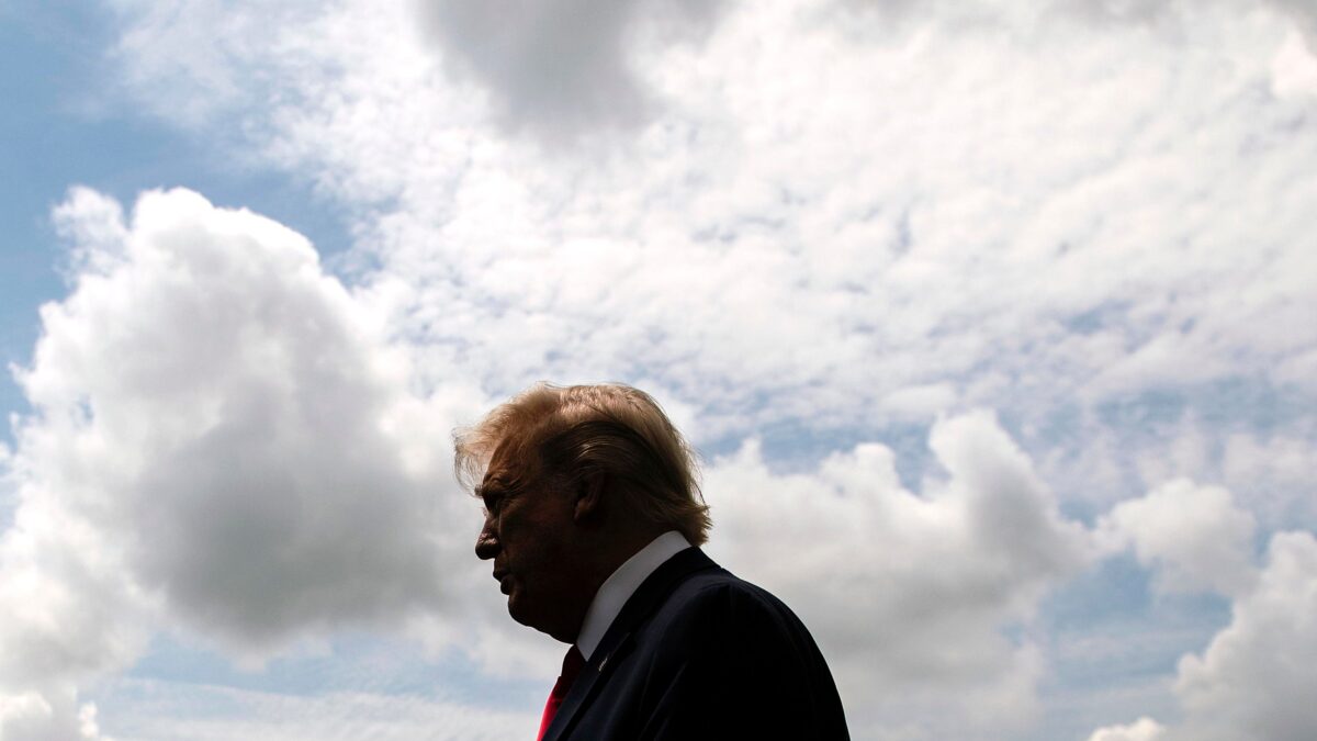Trump alla fine è un ambientalista
