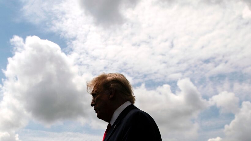 Trump alla fine è un ambientalista