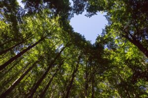 La natura va esplorata con rispetto. Non è la preda dei cacciatori di selfie