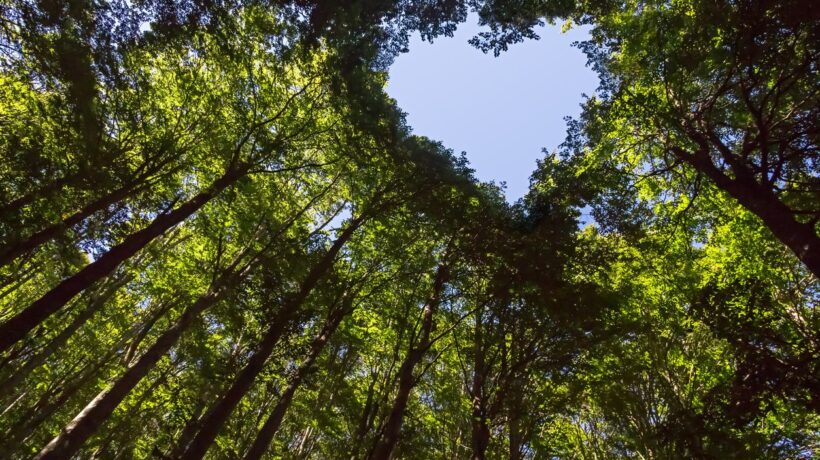 La natura va esplorata con rispetto. Non è la preda dei cacciatori di selfie