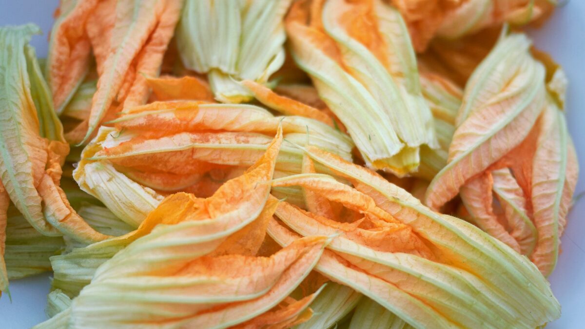 Non buttateli: i fiori sono i diamanti delle nostre zucchine