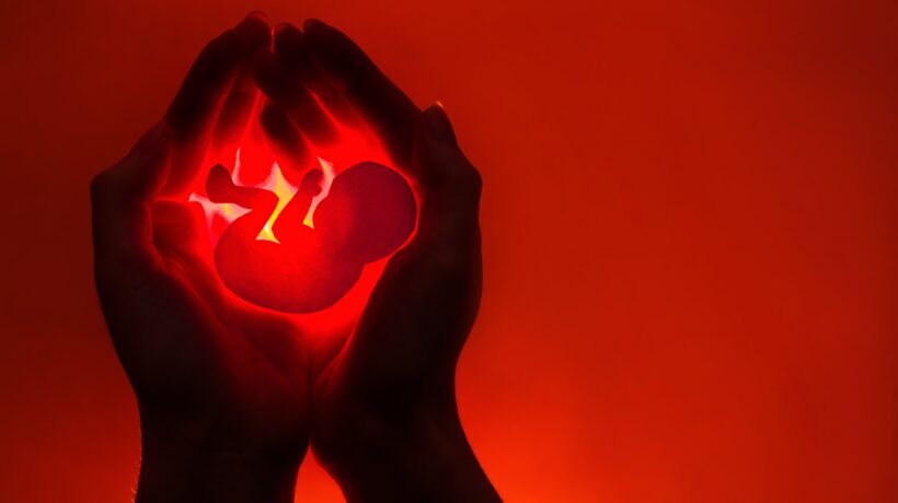 Si condanna la furbata dei 600 euro e non ci si indigna per l’aborto facile