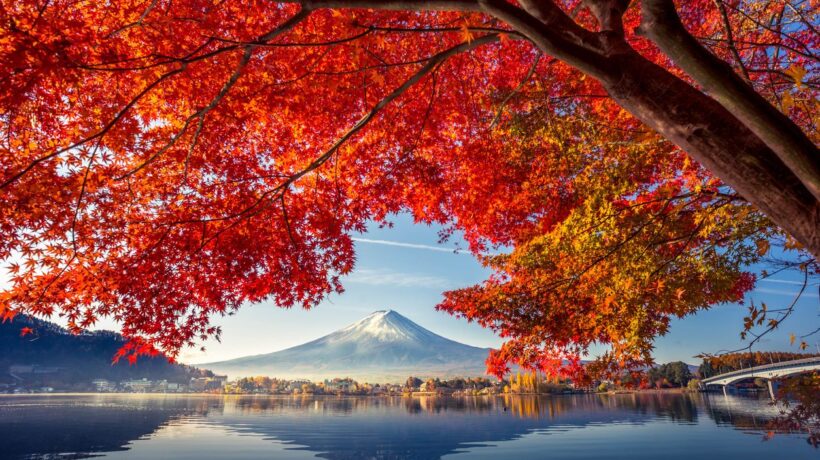 iStock