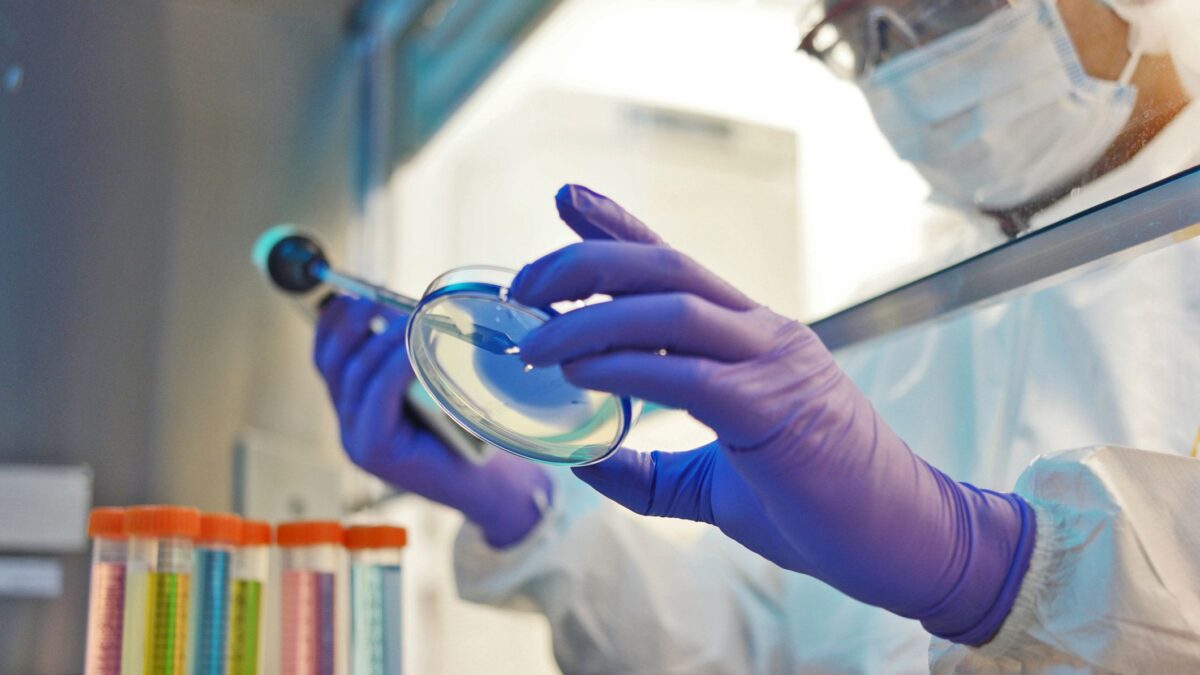 «Giocare coi virus è inutile. Anzi, pericoloso»