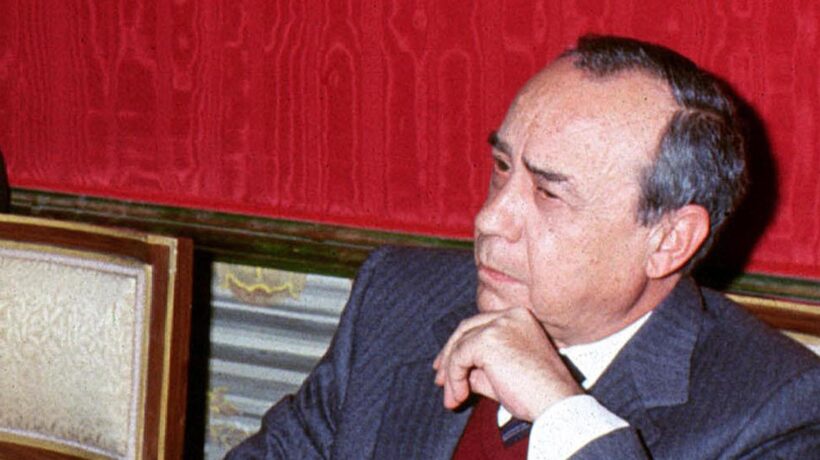 La stupidità dilaga ma torna utile a tutti: i politici la coltivano, gli artisti la sfruttano