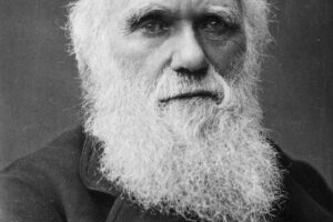 Darwin rapito dalla maestosa Amazzonia