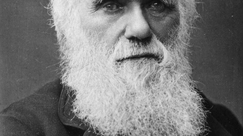 Darwin rapito dalla maestosa Amazzonia