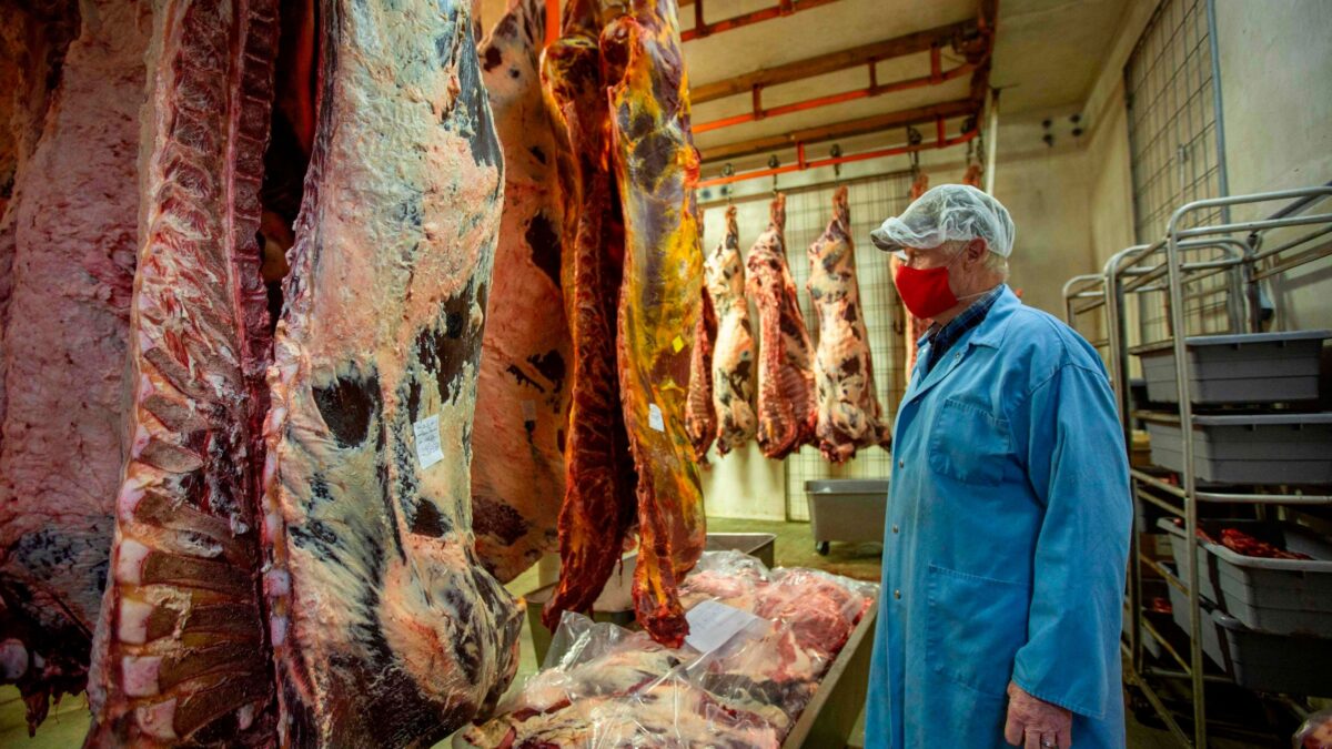 L’Europa salva l’hamburger vegano. Schiaffo per i produttori di carne
