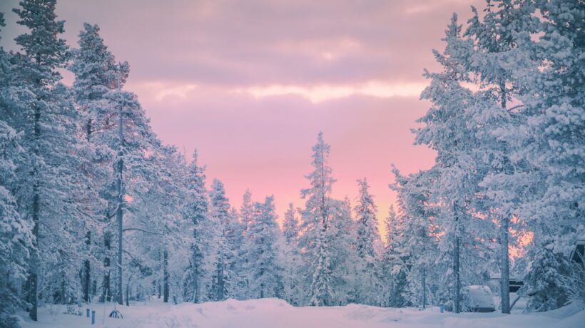 La magia della neve è la stessa anche quando proviene dai libri