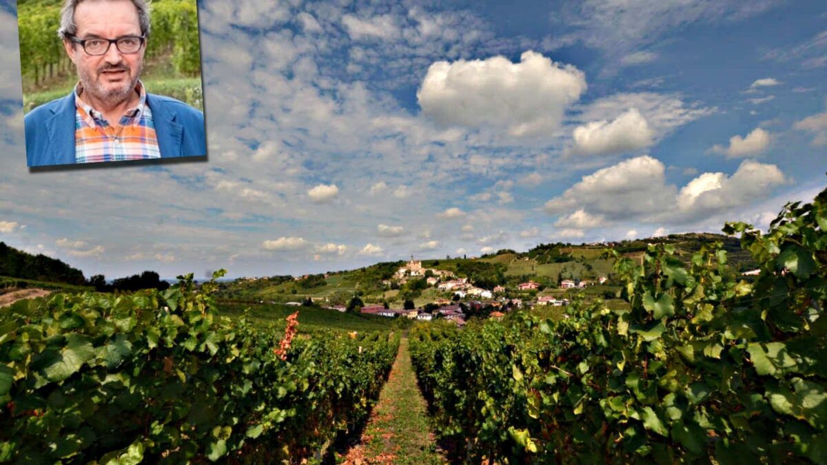 Il grido di dolore dell’Oltrepò: «Questa politica uccide le vigne»