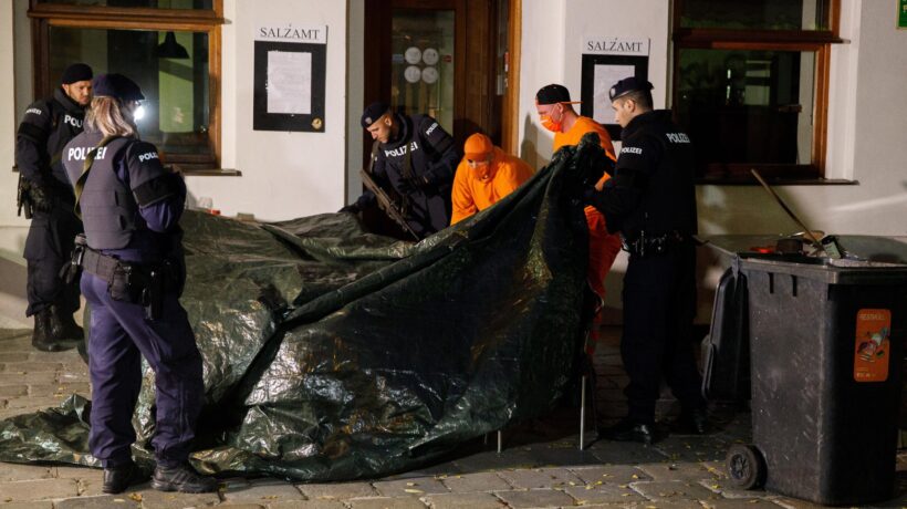 Loro ci massacrano noi rispondiamo coi gattini sui social