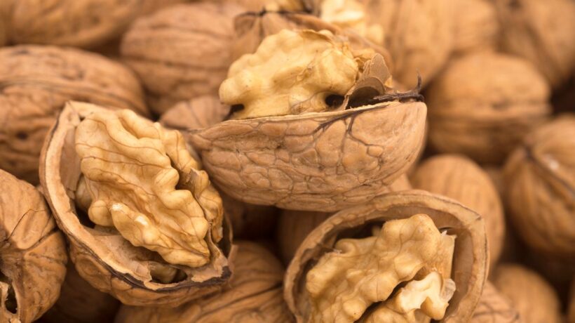 Le noci miracolose del Manzoni, uomo di fede e amante degli alberi