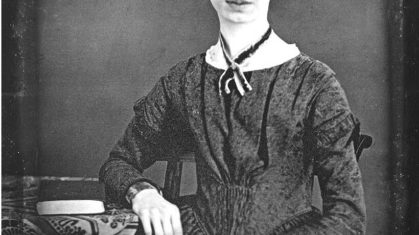 La bellezza delle rose che ispirò la Dickinson