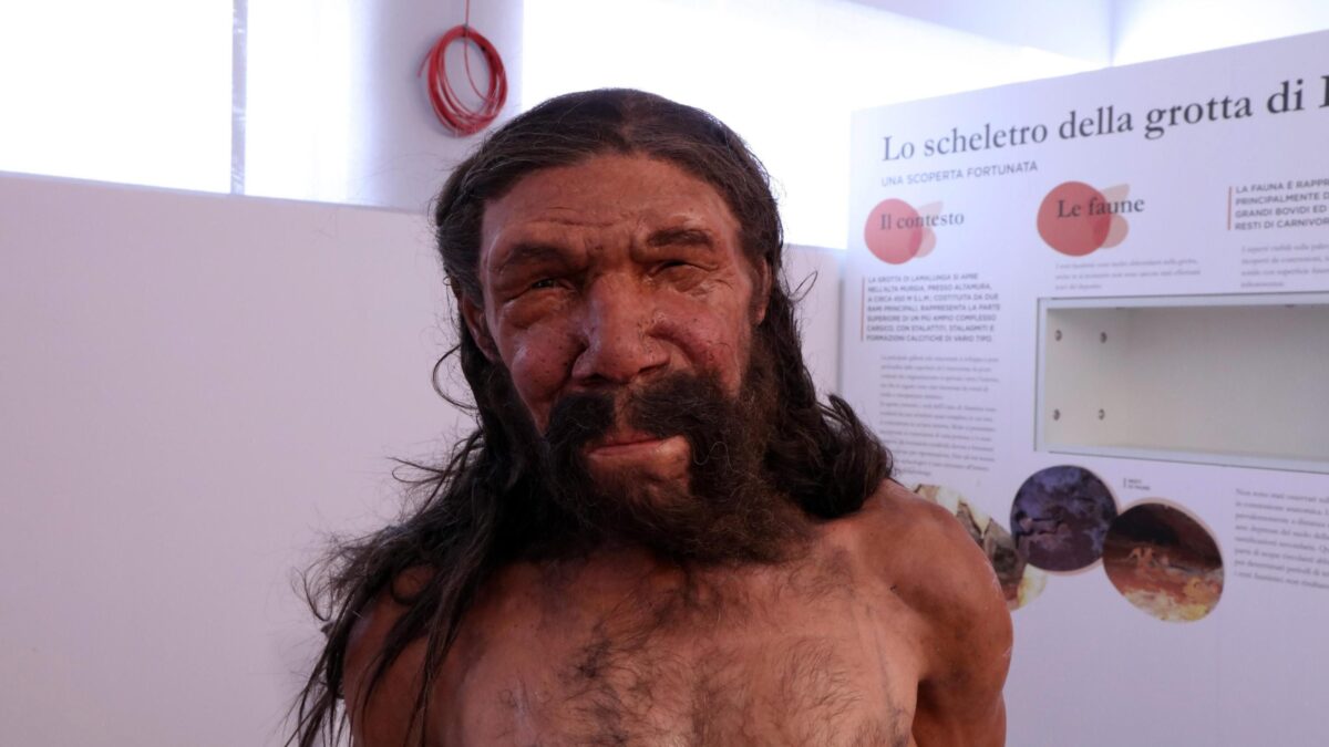 «Neanderthal è la soluzione per il Covid»