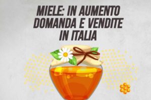 Miele: in aumento domanda e vendite in Italia