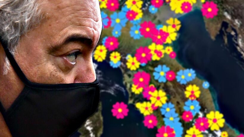 Arcuri a caccia di donazioni per le Primule