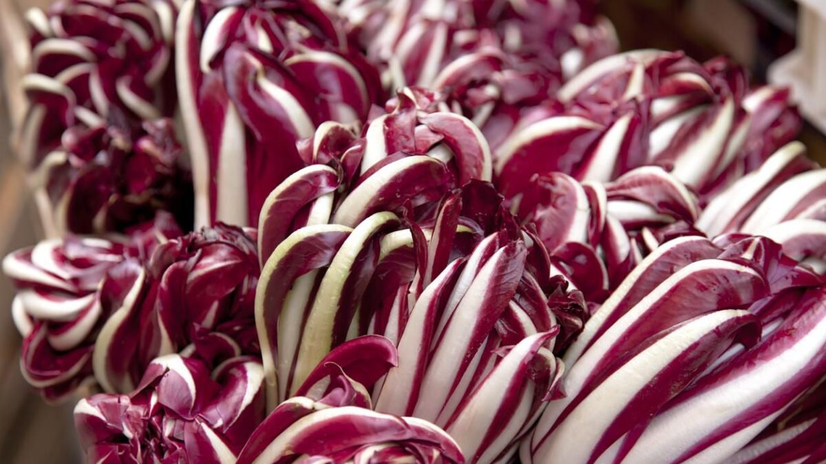 Da Milano a Gorizia tutte le strade portano al radicchio