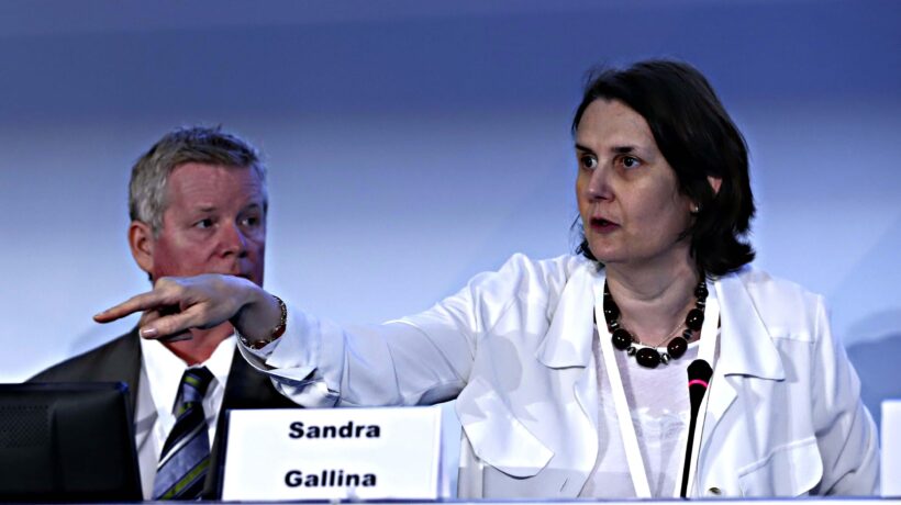 L’interprete riadattata a grand commis per i contratti europei