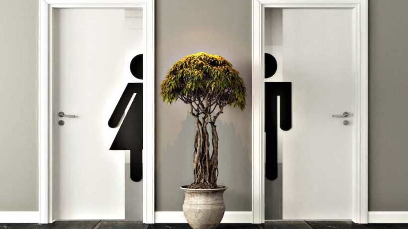 Toilette dei locali o cespugli? È giallo