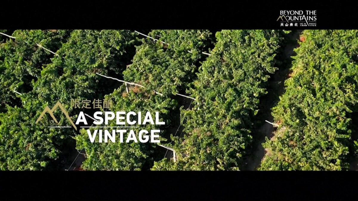 Il documentario di Cctv dallo Xinjiang – Un’annata speciale per il vino