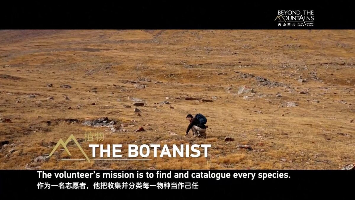 Il documentario di Cctv dallo Xinjiang – Esplorare la biodiversità
