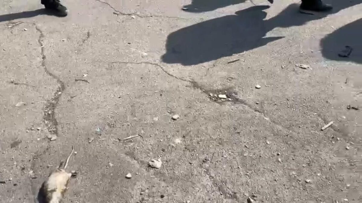 Dalle casse di Roma escono 4 milioni per i rom ma resta ancora l’emergenza abitativa