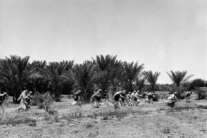 La guerra Anglo-irachena del 1941: l’Italia, la Germania e l’Islam radicale