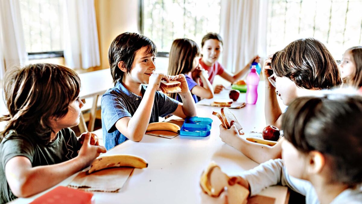 Nei piatti delle mense scolastiche spuntano tracce di sostanze nocive