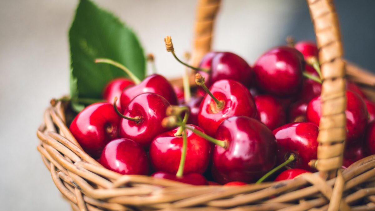 Benvenute ciliegie. Di questi frutti non si butta niente