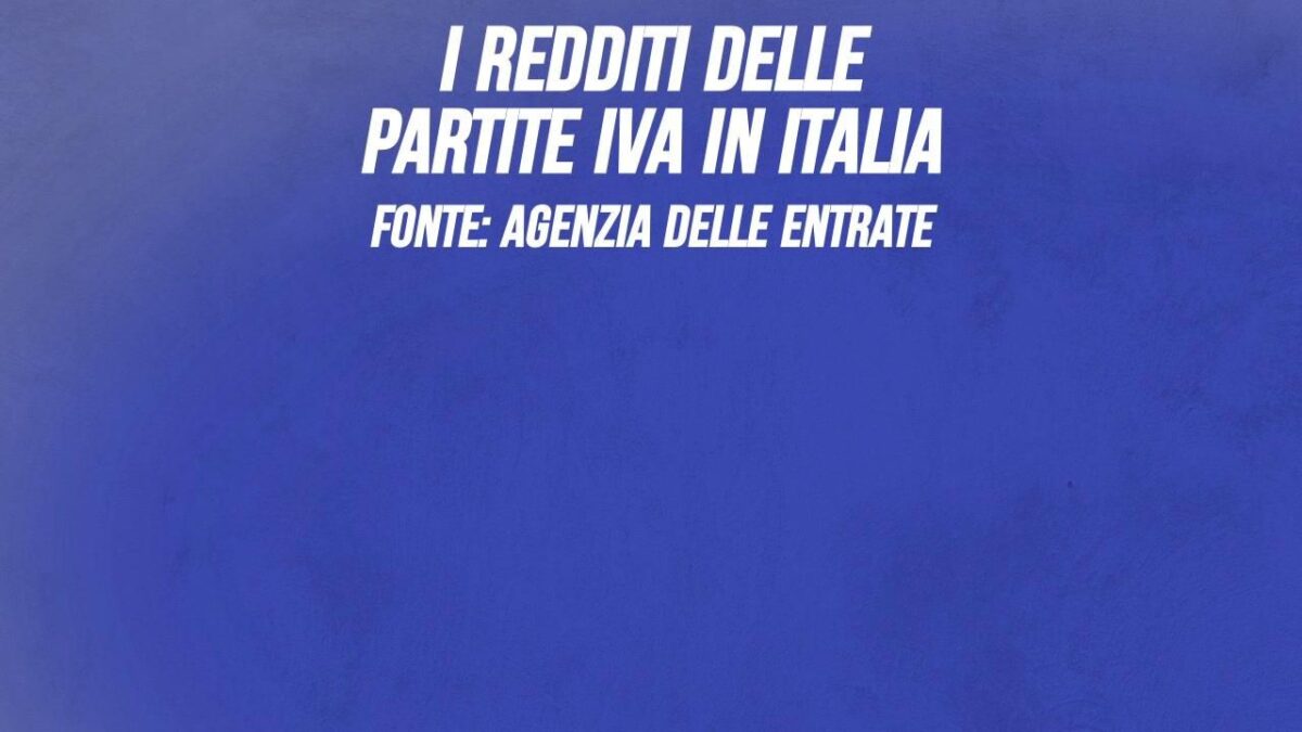 I redditi delle partite Iva